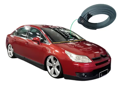 Kit P/ Reparar Burlete Rejilla Parabrisas Citroën C4 Pallas