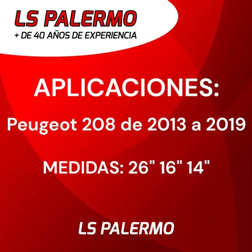 Kit 3 Escobillas Peugeot 206 207 208 307 308 Partner 3008 +
