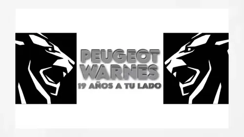 Sapito Limpiaparabrisas Original De Peugeot 207 1.4 Nafta