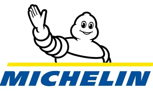 Liquido Limpia Lava Parabrisa Michelin Concentrado P/ Sapito