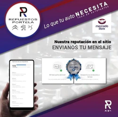 Juego 2 Escobillas Delanteras Citroen C4 Grand Picasso