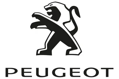 Escobilla Peugeot Rcz 11/