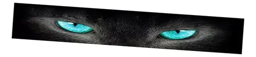 Cjx Visor Deparabrisas Delantero For Auto Ojos De Sol