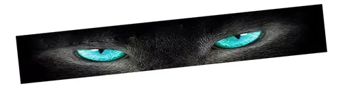 Cjx Visor Deparabrisas Delantero For Auto Ojos De Sol
